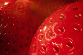 南北草莓品种差别原来这么大，哪一种是你的最爱？图片