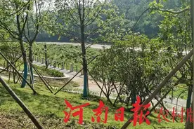 重点项目看信阳之新县篇：打造“一城风雅颂 两岸家春秋”靓丽风景图片