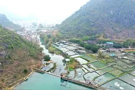 在这里，“滚水活鱼”开启水产养殖新模式！图片