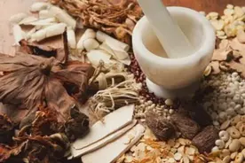 中医学专业整体分析，就业前景，主干课程及院校推荐图片