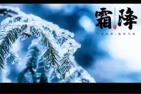 站桩一年后自发功的神奇经历（续）图片