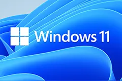 微软Win11 Canary 25931预览版发布，可卸载更多预装应用图片