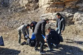 人间自有真情在图片