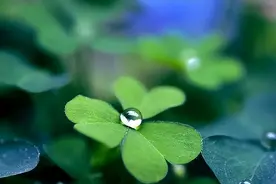 丁克老了，晚年生活会过成什么样？走一趟亲戚我醒悟了图片