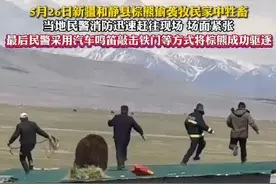 5月26日新疆和静县棕熊偷袭牧民家中牲畜 最终警民合作将棕熊成功驱逐图片