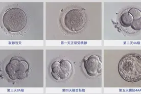 试管移植的是很好的囊胚，如4AA 4AB，为什么还是不着床或生化了？图片