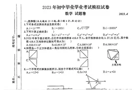 2023年合肥新站区中考二模数学试卷图片