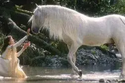 那些民间传闻中的神秘动物究竟存不存在？在线征集线索图片