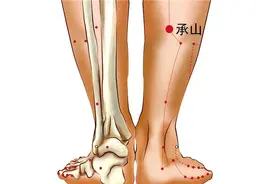 倪海厦：尾椎骨痛的坐不下，是你没找对穴位，针灸后立竿见影图片