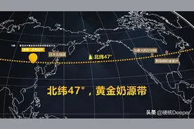 超市里进口牛奶1L6.5元，比蒙牛便宜4倍，却为什么比蒙牛的好喝？图片