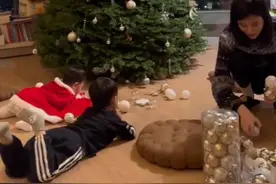 奚梦瑶和一双儿女装饰圣诞树，兄妹俩趴地板上围观，模样软萌可爱图片