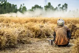 全球面临粮食短缺危机，美媒指责中国囤粮，汪文斌的回应有理有据图片