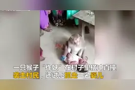 全网“嘴最硬的女主播”！头发都被薅秃了网友：这钱是非挣不可吗图片