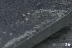 动静答疑丨近期贵阳黄色粉尘“来袭” 到底是个啥？图片