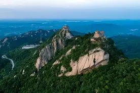 大别山豺狼图片