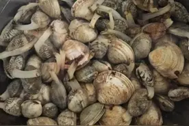 民以食为天——蛤蜊图片