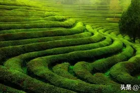 听着《同一首歌》回忆《同一首歌》图片