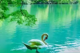 山环水绕，余音袅袅——游浙东大峡谷（游记）图片