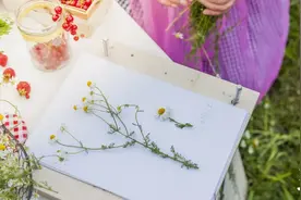 2022，致自己图片