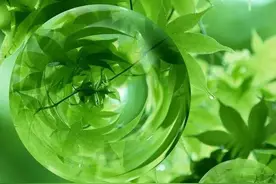唯美水晶球壁纸图片