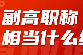 副高职称相当于什么级别图片