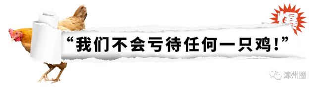 港式花胶鸡汤 港式花胶鸡汤料底料 港式花胶鸡汤 港式花胶鸡汤料底料
