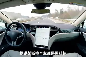 震惊：特斯拉墓地感应到行人图片