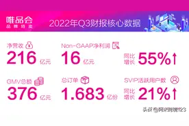 【一】 唯品会老矣尚能饭否？被中国电商遗忘的VIPSHOP图片