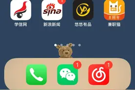 iPhone状态栏的自定义设置图片