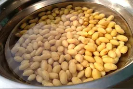 养花浇5种“废水”，比营养液还好，泼掉水也浪费，收集起来种花图片