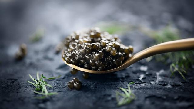 世界上最贵的食用鱼 2026年世界上最贵的食用鱼排名
