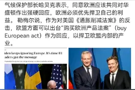 欧洲终于意识到自己正被美国吸血了，后知后觉的程度令人叹服图片