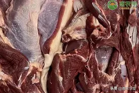 2023羊肉价格最新多少钱一斤？图片