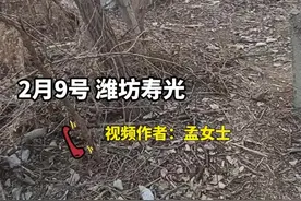 这群小男孩用废弃的材料搭建了秘密基地图片