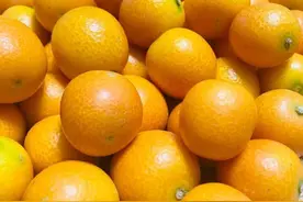 金桔品种你了解多少？中国产地有哪些？（一文全告诉你）图片