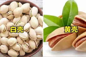 买坚果开心果，“白壳”和“黄壳”区别很大，弄明白再买不吃亏图片