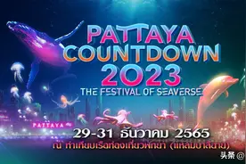2022年泰国芭提雅跨年盛典与明星一起狂嗨3天3夜！图片