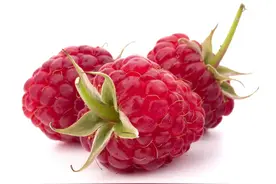 一味治尿频的中药：上能益肝明目治目暗，下能温肾补阳缩尿治尿频图片