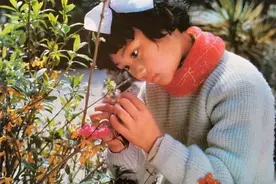 “一对夫妇生育一个孩子”政策出台始末图片