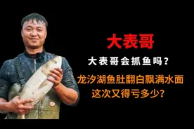 大表哥会抓鱼吗？龙汐湖鱼肚翻白飘满水面，这次又得亏多少？图片