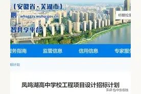 芜湖这里，开建国际高中！图片