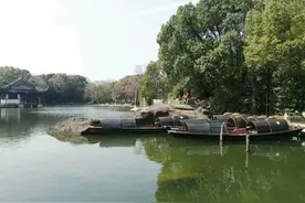 游览绍兴镜湖，感受“惟有门前镜湖水，春风不改旧时波”的境界图片