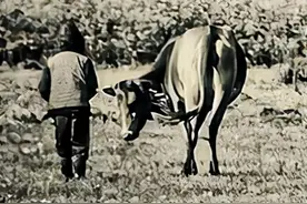 1956年，东北山洞发现大量宝藏，曝光后日本人竟然开口索要图片