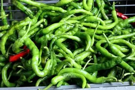 买5斤辣椒储存起来，香辣味十足，方法简单，保存一年都不坏图片