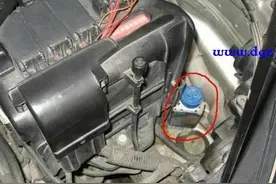 老鼠老是进发动机舱有什么办法？图片