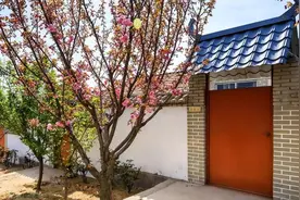 有院子，就栽7种树，“老祖宗”诚不欺我图片