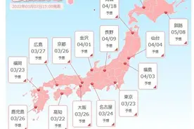 樱花前线再开！2022年全日本人气赏樱地TOP20图片