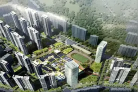 平湖保利城市更新旧改，已经开始拆除！！图片