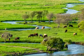 内蒙古也太长长长长了吧图片