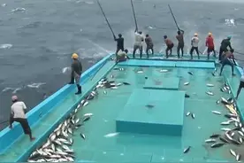 做海员无需经验，包吃包住，年薪20到30万，真有此等好事？图片